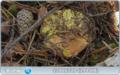 0_f3e5a_3d166368_orig.png