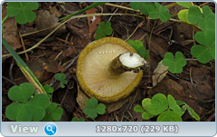 0_ef386_dbb42542_orig.png
