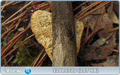 0_102020_d07b34e3_orig.png