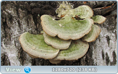 0_102038_e4df82b_orig.png