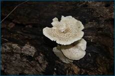 0_ce079_9093f95b_orig.jpg