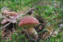 0_10d177_1430a7c3_orig.png