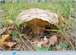 0_f078e_bbd214ae_orig.png