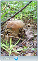 0_102bea_d5b5c302_orig.png