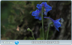 0_fd53f_dbdb136b_orig.png