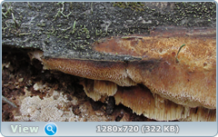 0_ef3ac_b9824e56_orig.png