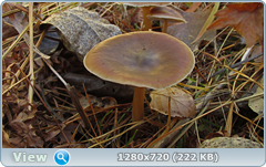 0_f2fbb_642a0c7d_orig.png