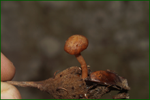 0_e0077_940d2d14_orig.png