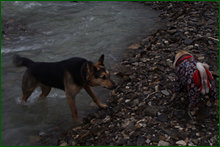 0_e00bf_519d93e5_orig.png