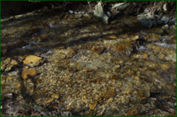 0_e024a_1e45169b_orig.png