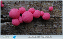0_fbef8_8aa9fe70_orig.png