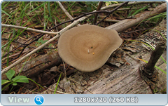 0_fc41b_320bcc2e_orig.png