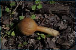 0_cc653_4a5d99f1_orig.jpg