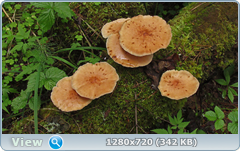 0_e6a2e_994061ef_orig.png
