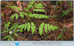 0_fd864_81fe3f90_orig.png