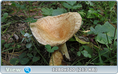 0_ef382_d842eb6e_orig.png