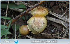 0_ef345_24b50933_orig.png