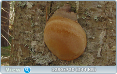 0_1027d5_20951e4e_orig.png