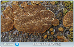 0_1027ed_27fda383_orig.png