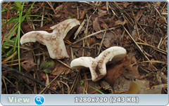 0_10a305_f93d89bd_orig.png