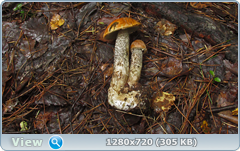 0_110556_e4bb892b_orig.png