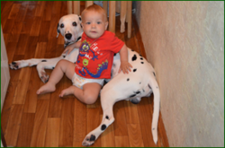 0_e686d_ee565074_orig.png