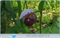 0_107ed8_5ba6300c_orig.png