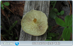 0_10ad32_7cf77691_orig.png