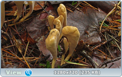 0_10de57_d8f457f4_orig.png