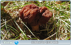0_105538_76cfff01_orig.png