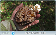 0_106926_968d41_orig.png