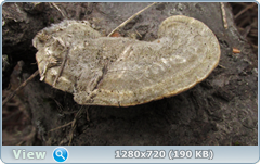 0_101fd0_c615952b_orig.png