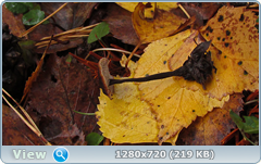 0_10286e_86450bb5_orig.png