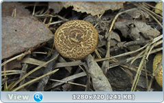 0_10653a_f7afbc63_orig.png