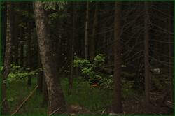 0_121611_73bc3a21_orig.jpg