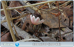 0_10389b_9d21b89c_orig.png