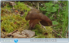 0_1073c2_9e2ff890_orig.png