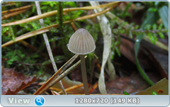 0_10924a_7136224e_orig.png