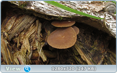 0_10b2c6_dd0619f1_orig.png