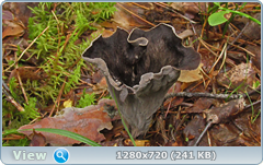0_10ddce_524fa516_orig.png