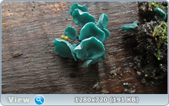 0_10ddde_d3d0f37a_orig.png