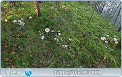 0_11213e_732239a6_orig.png