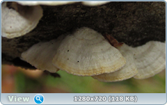 0_f6de2_fa5993d2_orig.png