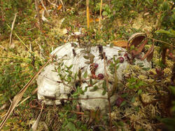 0_c2271_c9779563_M.jpg