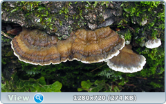 0_f7ea8_89ebff15_orig.png