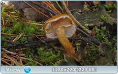 0_e6b81_a39df19c_orig.png