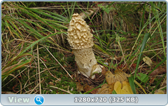 0_f10b1_ac592e3f_orig.png