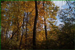 0_da099_341f79f0_orig.png