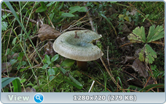 0_fba2a_8080d6c9_orig.png