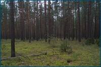 0_d5db1_9626d286_orig.jpg